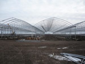 Изображение 4: тепличный комплекс, строительство тепличных комплексов, теплица под ключ, комплекс теплиц