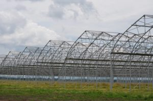 Изображение 9: тепличный комплекс, строительство тепличных комплексов, теплица под ключ, комплекс теплиц