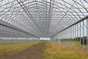 Изображение 11: тепличный комплекс, строительство тепличных комплексов, теплица под ключ, комплекс теплиц