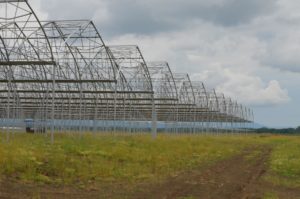 Изображение 12: тепличный комплекс, строительство тепличных комплексов, теплица под ключ, комплекс теплиц